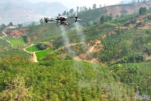 Opening new directions for Điện Biên’s agriculture