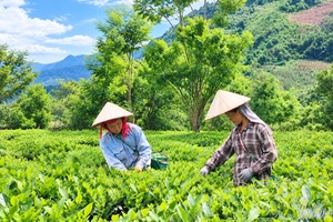'Proactively adapting to develop sustainable agriculture