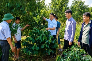 One resolution, two key crops, and aspiration to rise up (Part 2)
