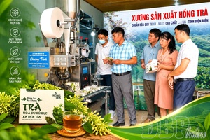Industrial promotion - A “launchpad” for Điện Biên agricultural products