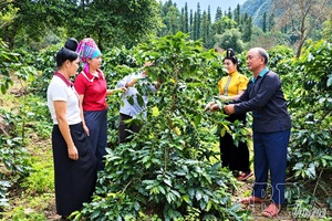 'Village Elder Cứ Chừ Tú grew up from the heart of the people (Part 2)