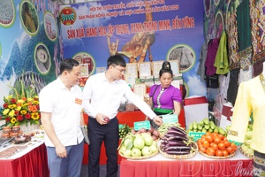 'Boosting promotion of local agricultural and specialty products