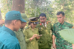 'Pờ Mì Nò - A daughter of Hà Nhì preserving greenery of westernmost frontier (Part 1)