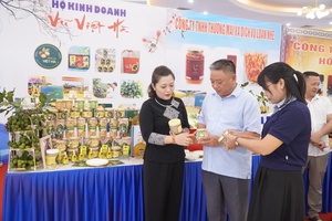 Điện Biên’s coffee and macadamia shift from planting to processing