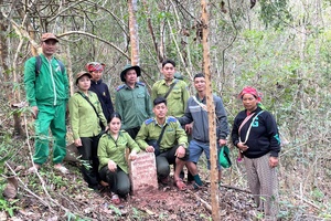 'Pờ Mì Nò - A daughter of Hà Nhì preserving greenery of westernmost frontier (Part 2)