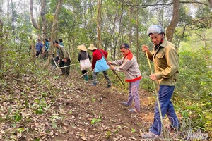Điện Biên active in protecting forests in dry season