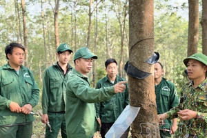 Improving vocational skills of rubber workers