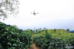 UAVs boost agricultural production in Điện Biên