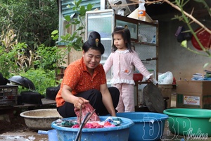 Điện Biên improves domestic water quality