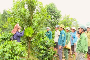 Turning national programs into tangible gains for farmers