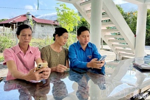 Young volunteers bring digital skills to the community