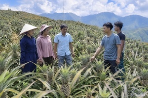 Promoting role of farmers’ associations in production linkages