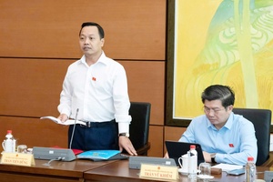 Provincial National Assembly deputies propose perfecting carbon credit mechanisms and elevating environmental management efficacy