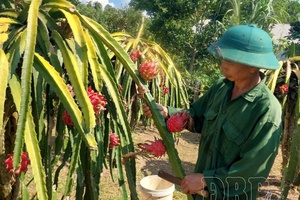 Benefits of circular agriculture