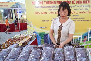 Điện Biên women well do business