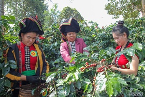 Investing in green, smart, and sustainable agricultural development