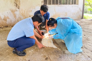Preventing recurrence of avian influenza