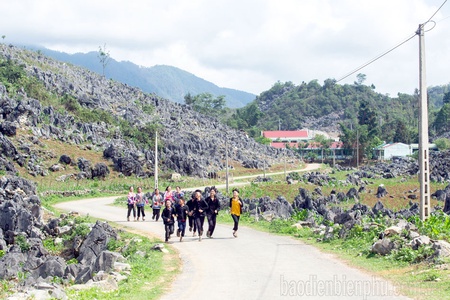 Growing vitality across the stone plateaus of Tả Phìn