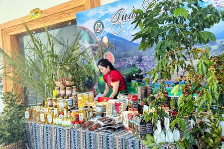 Điện Biên supports local businesses in expanding market for agricultural specialty products