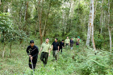 Điện Biên on high alert as wildfire risk soars