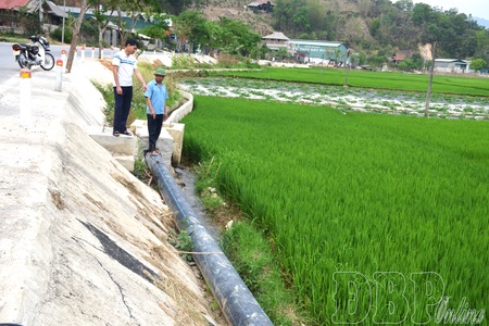 Promptly resolving irrigation issues for Mển hamlet residents