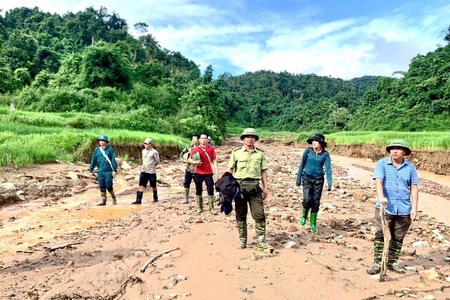 Challenges of “green lungs” protection during rainy season
