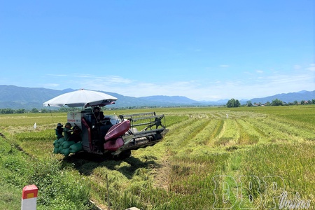 Điện Biên strives for rapid and sustainable development