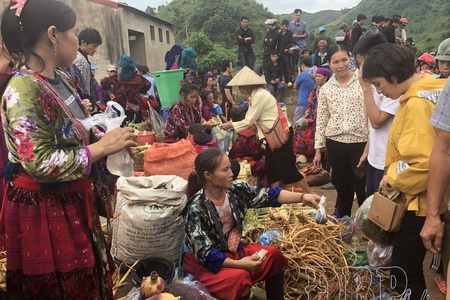 Resolving difficulties in medicinal plant development