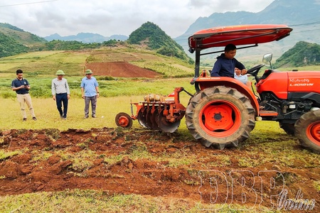 New face of Pú Nhung