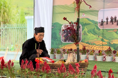 Traditional Cockscomb Flower Festival of Cống ethnic group held in Nậm Kè