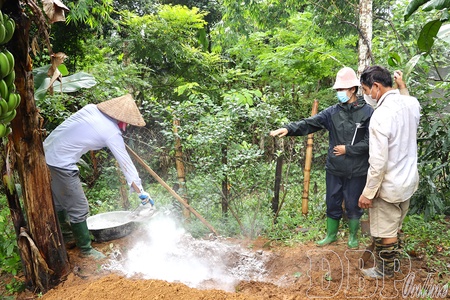 Promoting production recovery in areas affected by natural disasters and epidemics