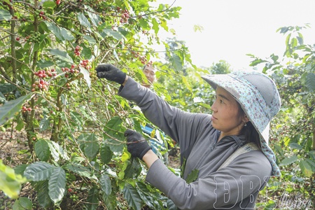 Small nurseries - big benefits