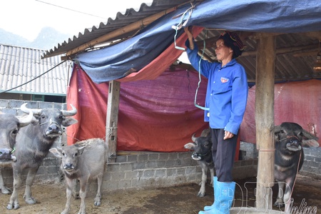 Developing livestock farming adapted to climate change