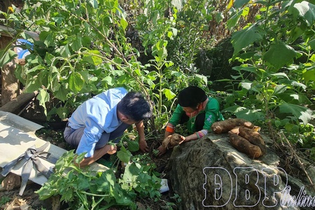 Điện Biên sees positive signals in poverty reduction