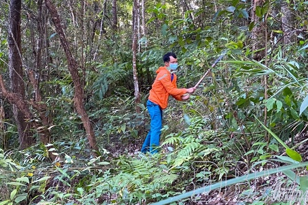 Resolving difficulties, accelerating payments for forest environmental services
