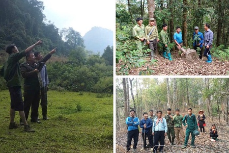 Điện Biên focuses forest protection at year-end
