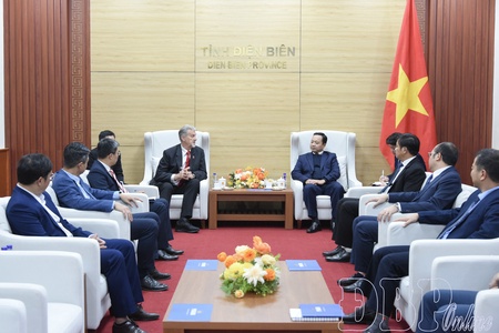 Điện Biên leader receives Mavin Group JSC delegation