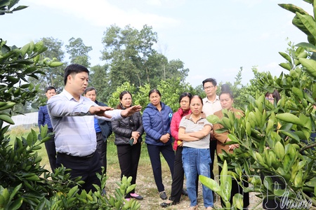 Điện Biên shows proactive adaptation to climate change