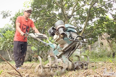 Farmers change mindset, enhance production value