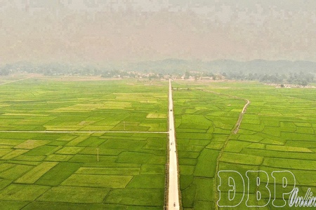 Exploiting advantages to develop specialized crop cultivation areas