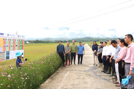 Science and technology drive sustainable agriculture in Điện Biên
