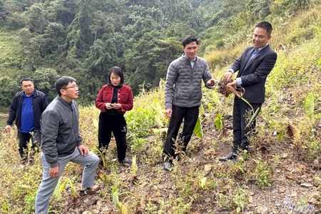 Close to the people, understanding the people, creating momentum for socio-economic development