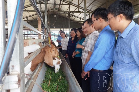 Điện Biên provincial People’s Council - Imprints of the 2021 - 2026 term