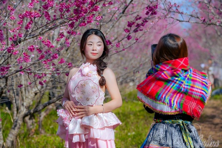 A rendezvous for spring frames