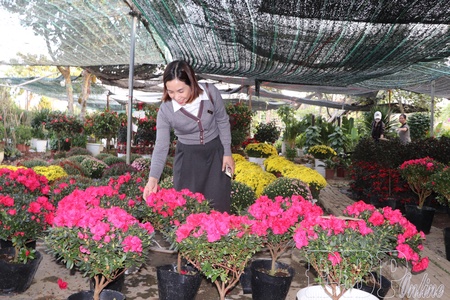Bustling market for flowers and ornamental plants for Tết