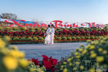 Điện Biên streets with vibrant Tết flowers