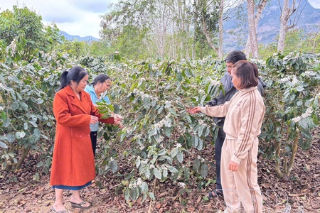 Creating breakthrough opportunities for Mường Ảng’s sustainable development