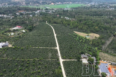 Blooming season of strategic crops