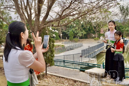 Promoting tourism through Ban (Bauhinia) Flower Festival