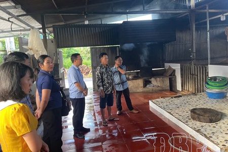 Current landscape of slaughtering in Điện Biên